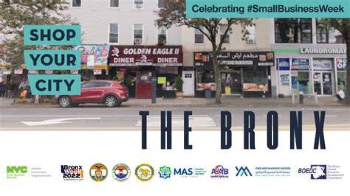 How many small businesses are in the Bronx?