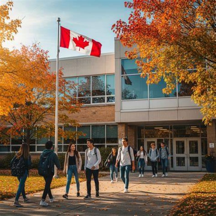 How many students go to university after high school in Canada?