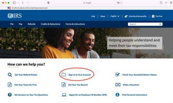 How many times can you access the IRS portal?