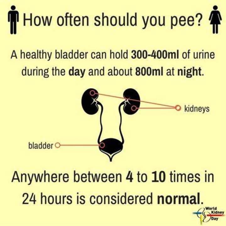 How many times do you pee if you have diabetes?