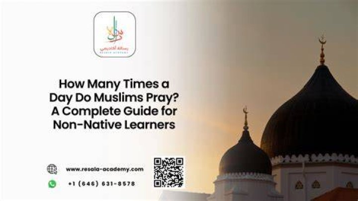 How many times Shia pray a day?
