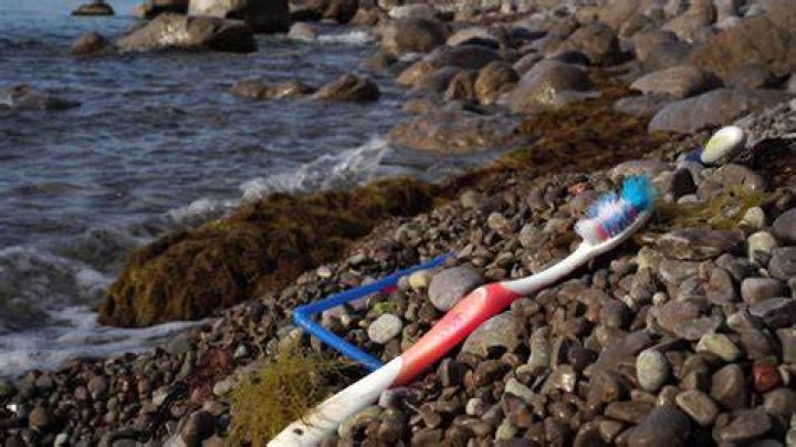 How many toothbrushes go to landfill in the world?