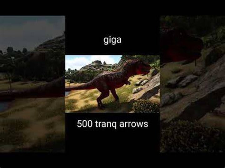 How many Tranqs does it take to knock out a Giga?