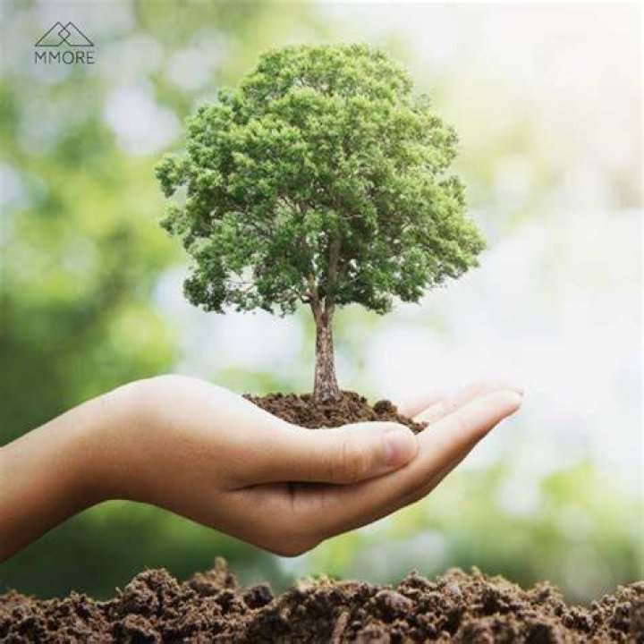 How many trees can save the planet?
