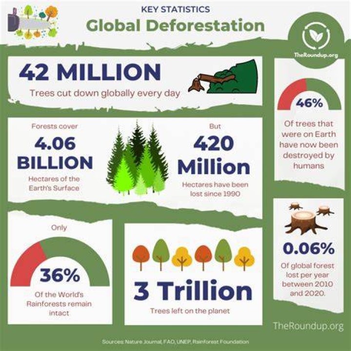 How many trees get cut down a day?