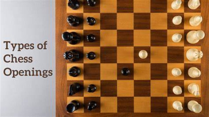 How many types of chess are there?