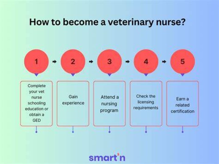How many years of college do you need to be a veterinary nurse?