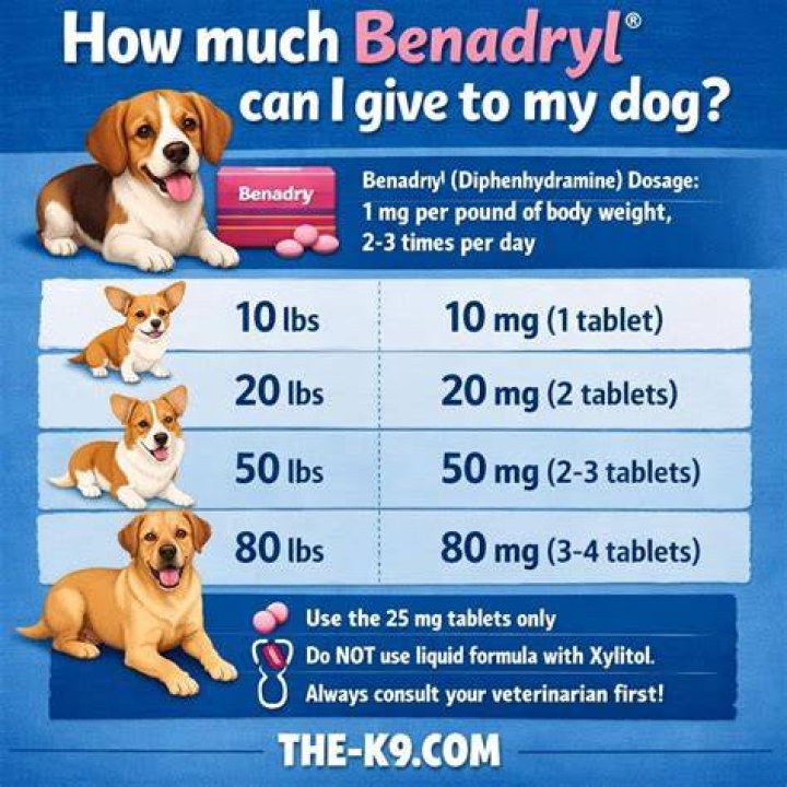 How much Benadryl can I give my dog as a sedative?