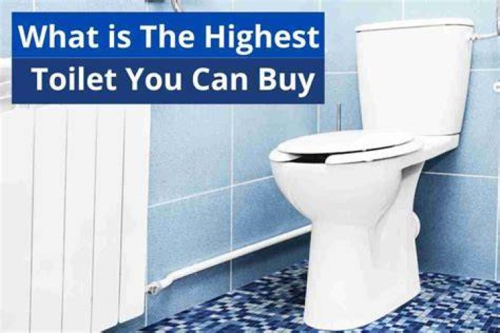 How much can a toilet leak per day?
