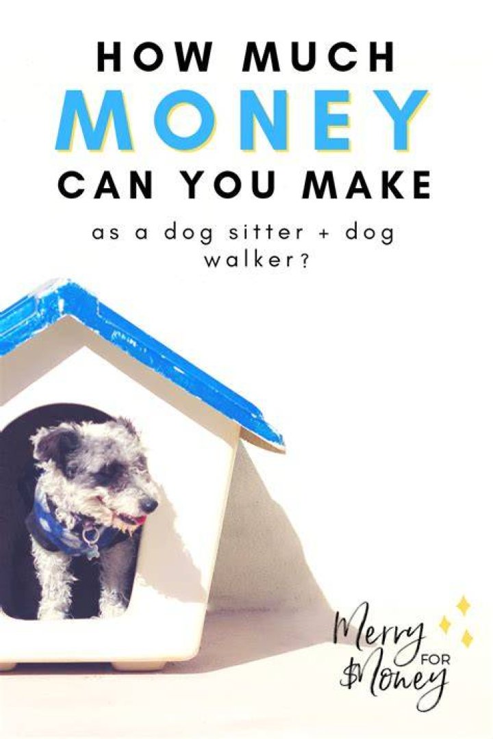How much can you make from dog sitting?