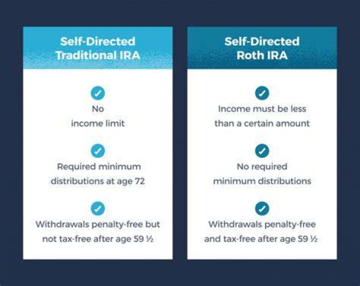 How much can you put in a self-directed IRA?