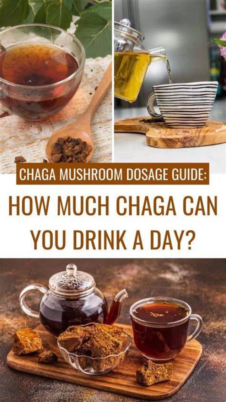 How much chaga is too much chaga?
