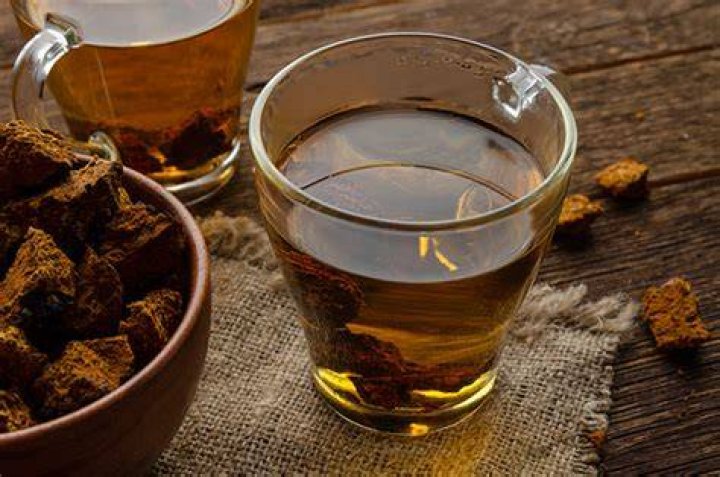 How much chaga tea should you drink in a day?