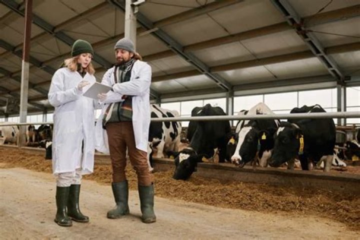 How much do Cattle ai Technicians make?
