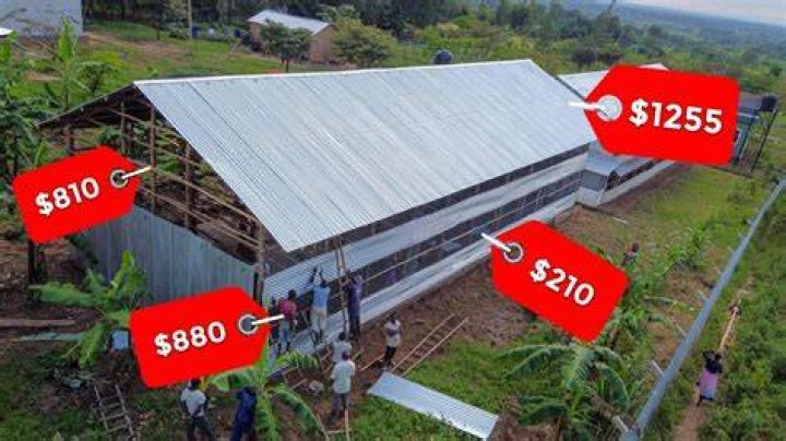 How much do chicken house farmers make?