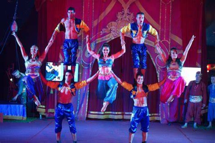 How much do circus performers make per show?