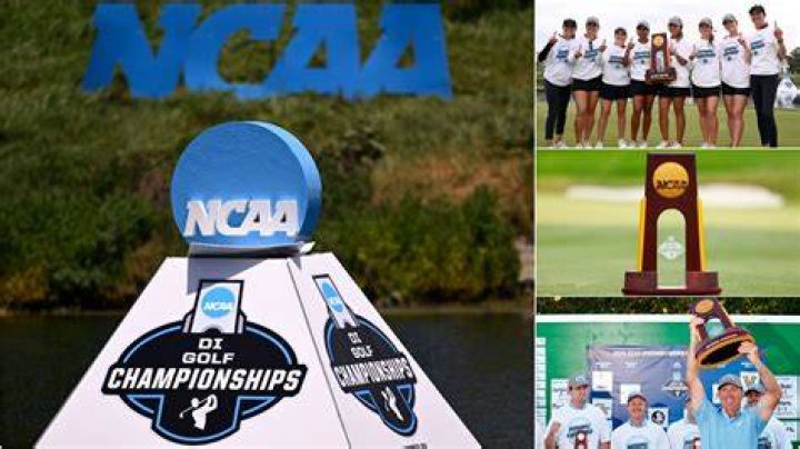 How much do Division 1 golf coaches make?