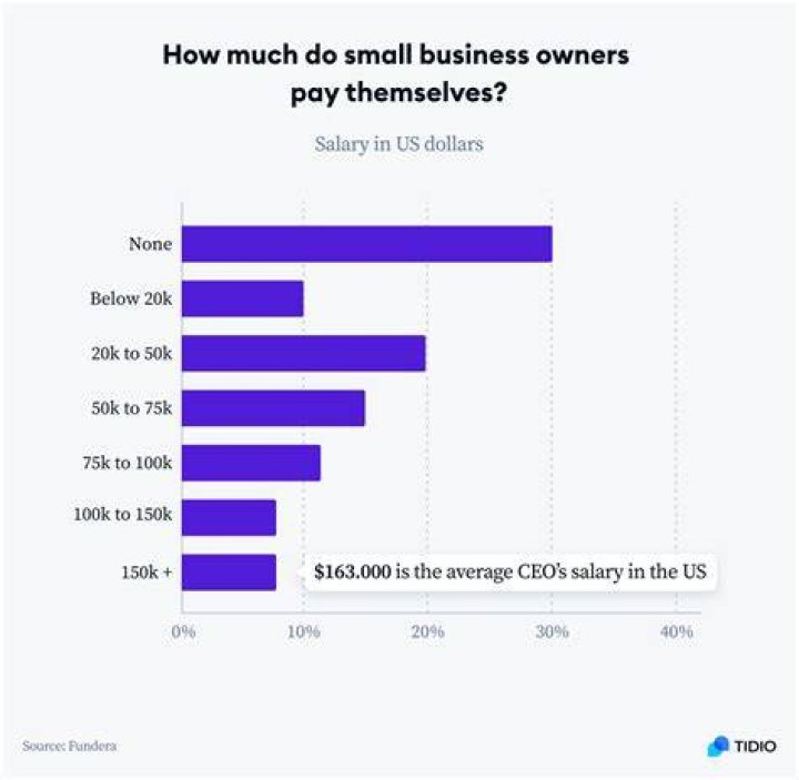 How much do owners get paid?