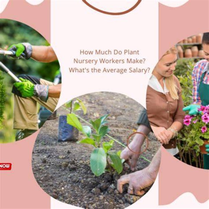 How much do plant workers make an hour?