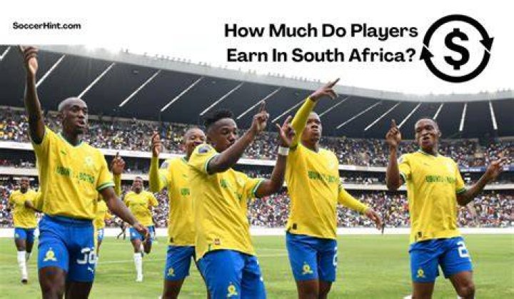 HOW MUCH DO PSL players earn?