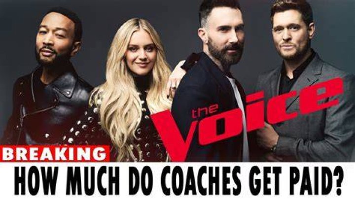 How much do The Voice contestants get paid?