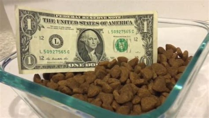 How much do you get paid to be a dog food tester?