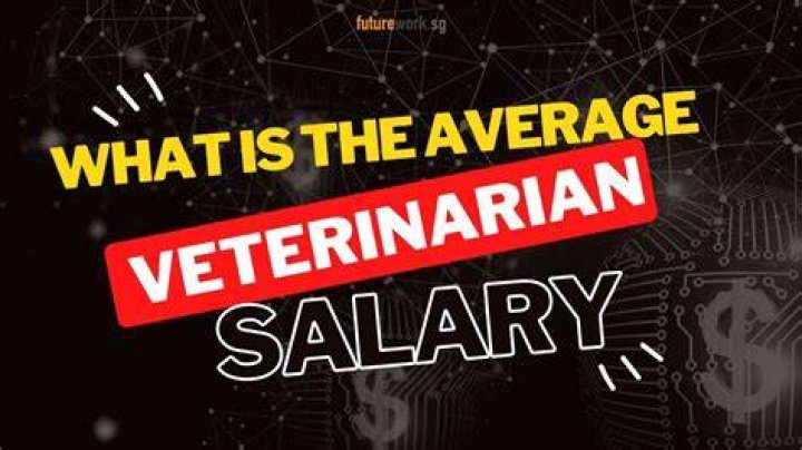 How much do you get paid to work as a vet?