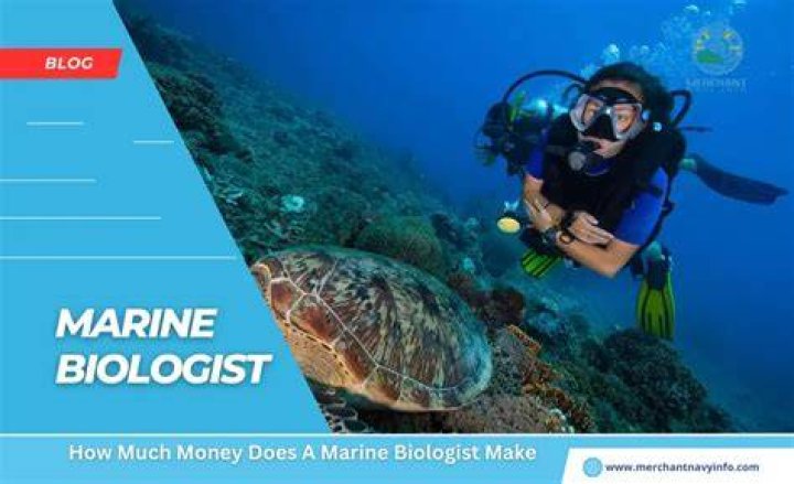 How much does a first year marine biologist make?
