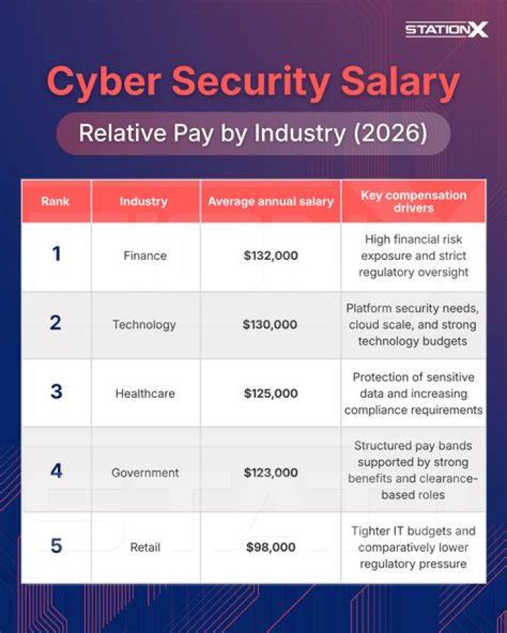 How much does a government cyber security make?