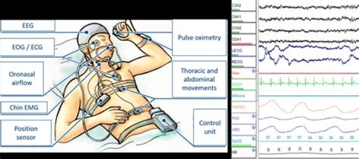 How much does a polysomnography make an hour?