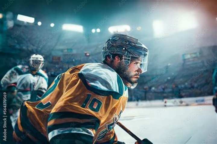How much does a pro field hockey player make?