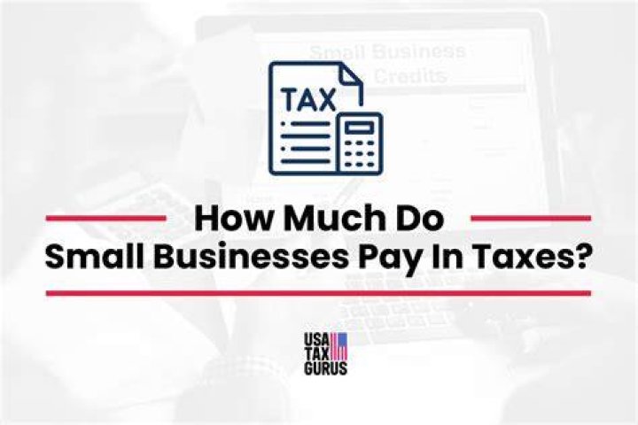 How much does a small business pay in taxes?