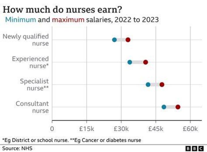 How much does a vet nurse earn UK?