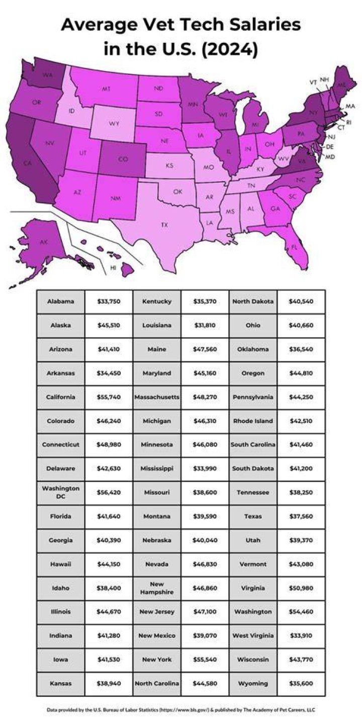How much does a vet tech MA?