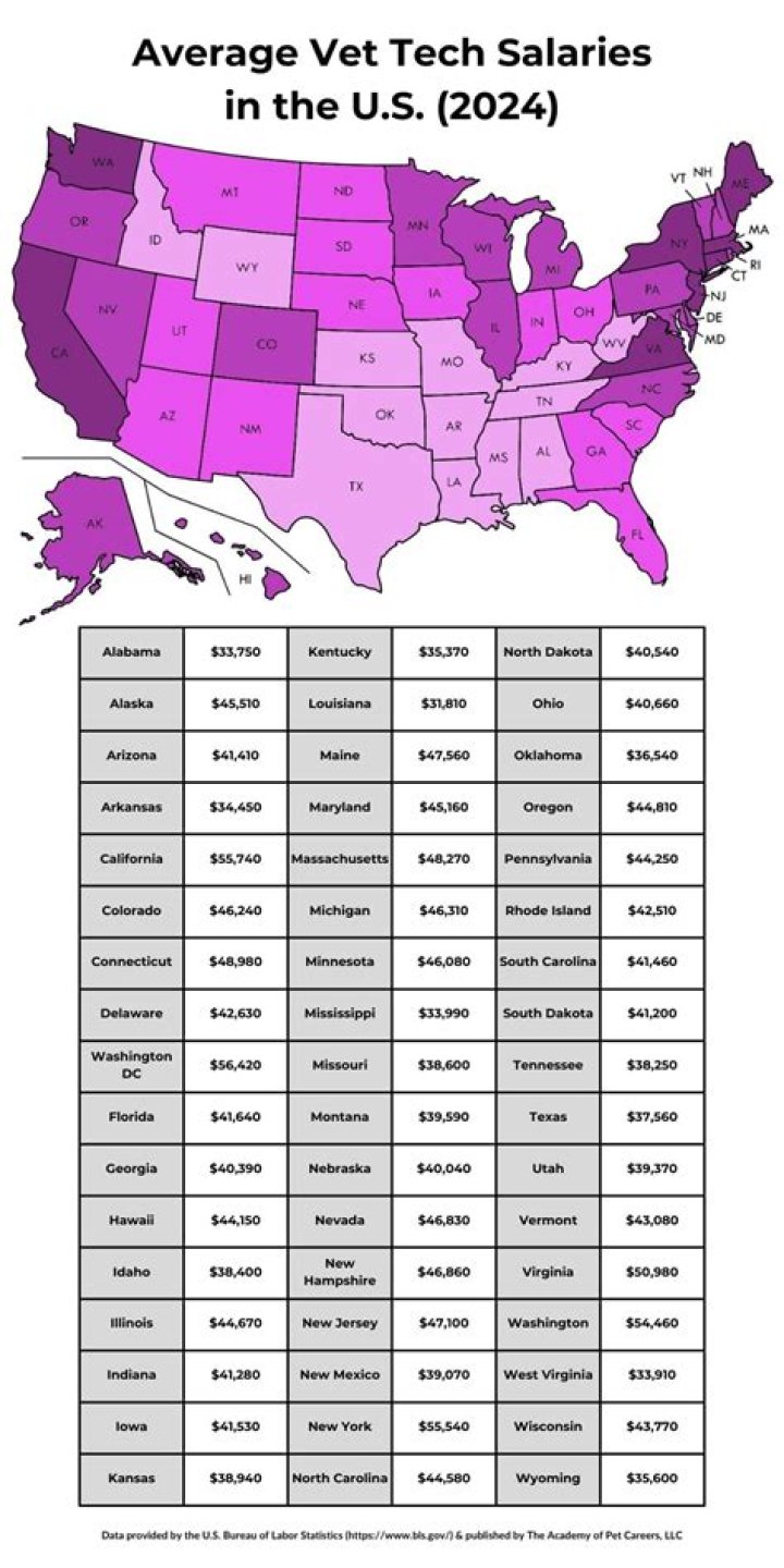 How much does a vet tech make in Houston TX?