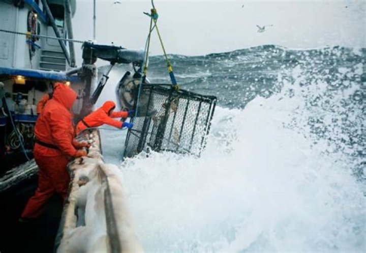 How much does an ocean fisherman make?