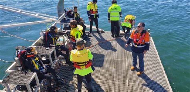 How much does an offshore diver make?