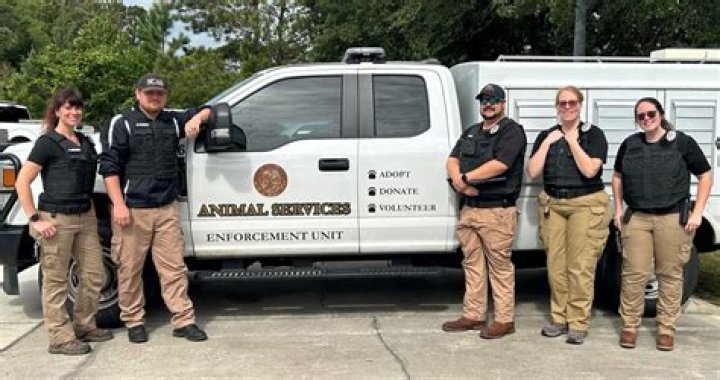 How much does animal control make in Florida?