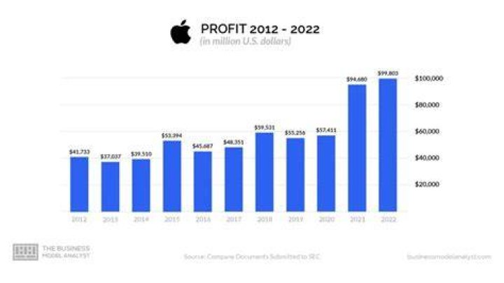 How much does Apple profit a year?