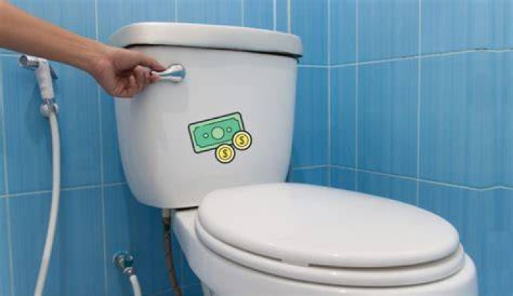 How much does it cost to flush a toilet 2021?