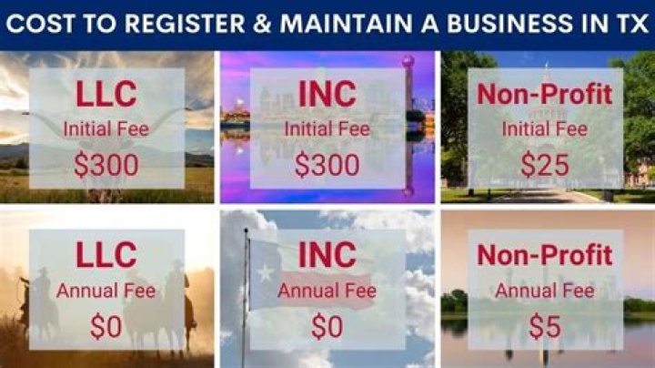 How much does it cost to register your business in Texas?