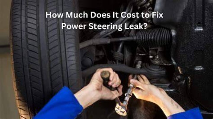 How much does it usually cost to fix a power steering leak?