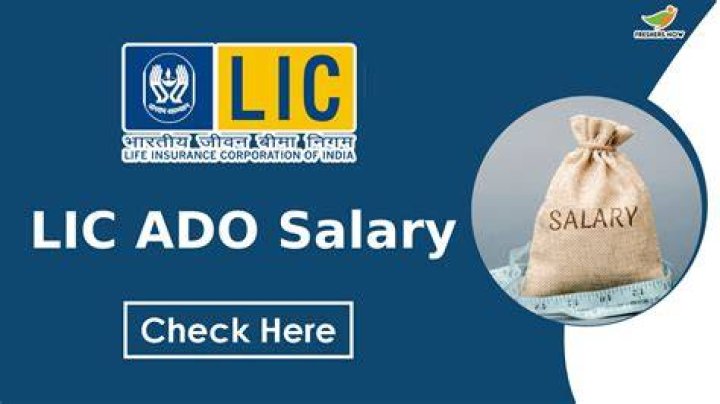 How much does LIC development officer earn?