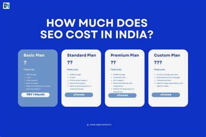 How much does MLA cost in India?