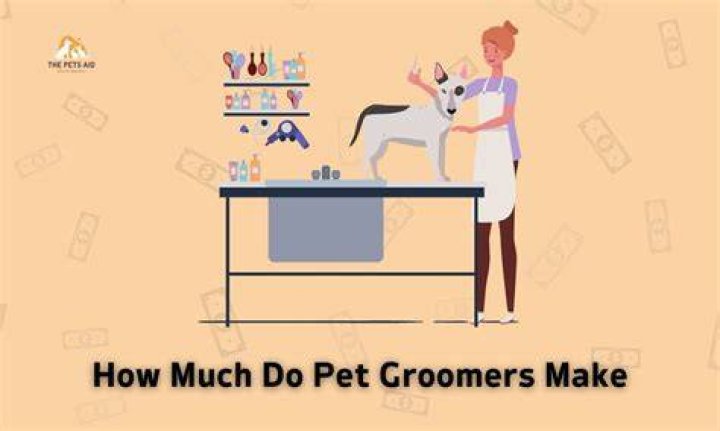 How much does pet stock pay an hour?
