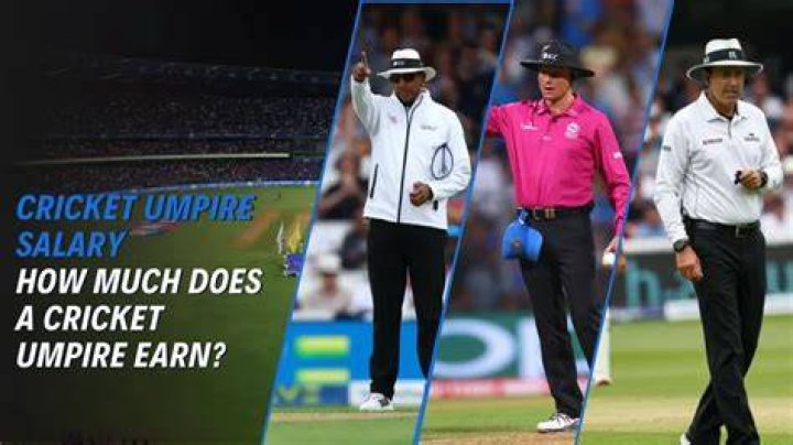 How much does the average cricket player earn?
