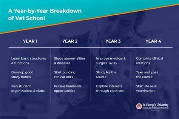 How much does vet schooling cost?
