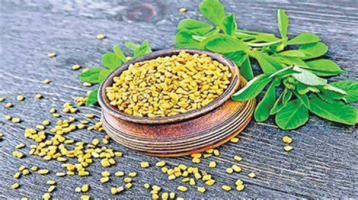 How much fenugreek should I take?