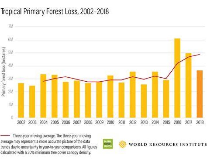 How much forest land we are losing every year?