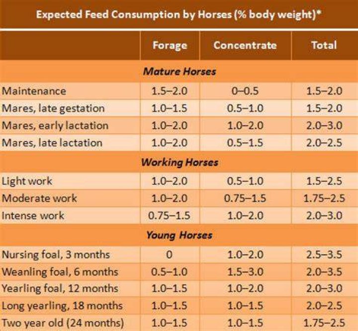 How much grain should a 1200 pound horse eat?